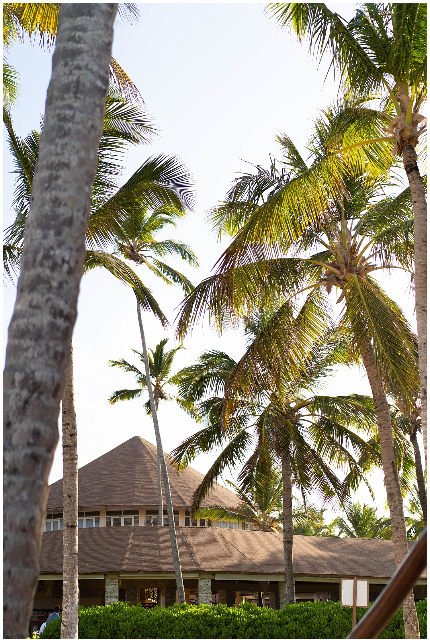 Dominican Republic palm trees destination wedding 