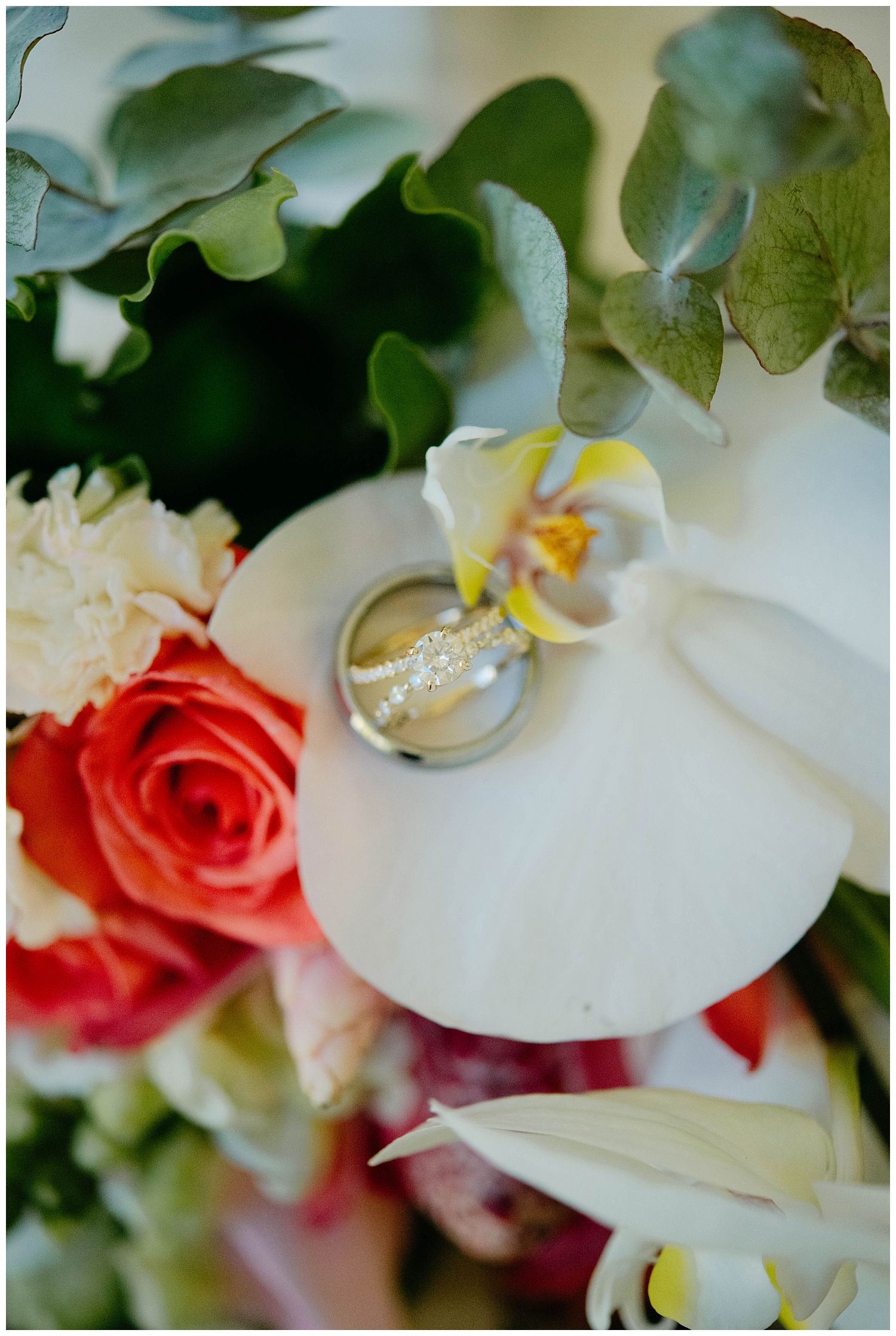 Wedding rings and orchids